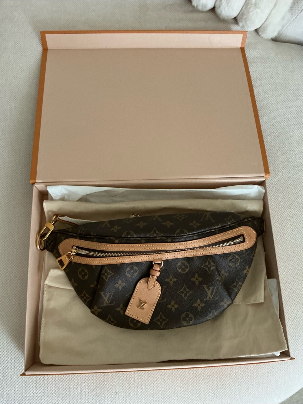 Louis Vuitton High Rise Bumbag - Picture 5 of 16